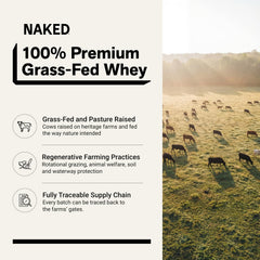 NAKED Whey primer plano del polvo que resalta su textura fina