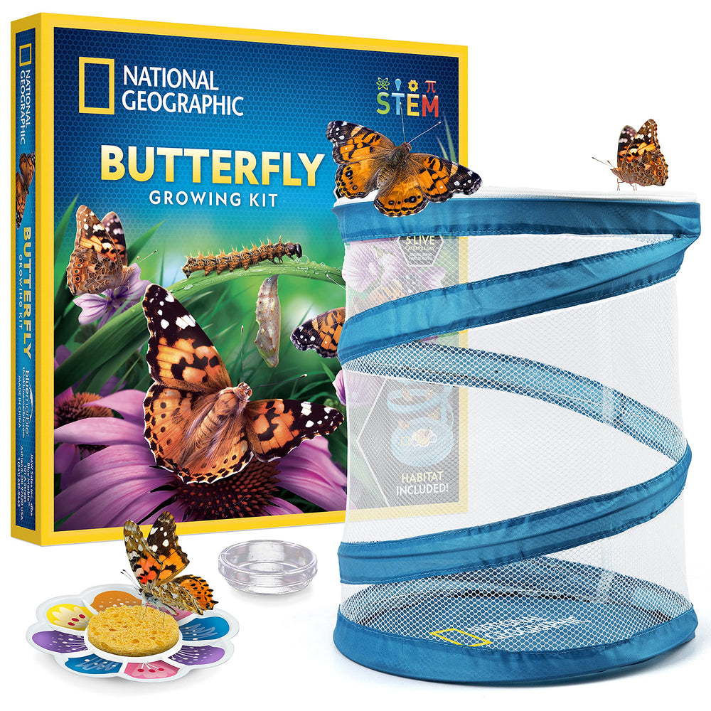 JMW Sales National Geographic hábitat frontal mostrando malla y tapa transparente para observar mariposas