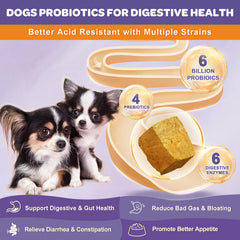 NATURE TARGET primer plano de masticable liofilizado destacando textura y sabor