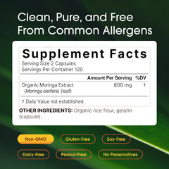 NatureBell moringa powder texture showing natural green nutrients