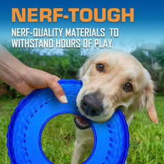 Nerf Dog perro atrapando disco en vuelo para ejercicio y entrenamiento activo