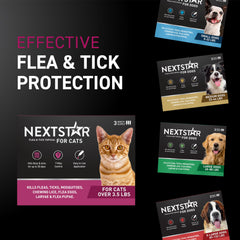 NEXTSTAR aplicación en gato entre omóplatos para protección eficaz