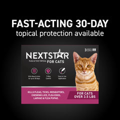 NextStar aplicador detalle listo para una aplicación limpia y segura