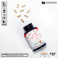 Nootropics Depot cápsulas en mano para comparar tamaño y dosificación práctica