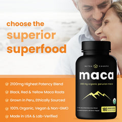 NutraChamps polvo de maca gelatinizado primer plano que facilita digestión