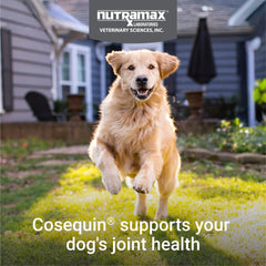 Nutramax Cosequin ingredientes MSM y Boswellia en presentación ilustrativa para apoyo articular