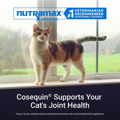 NutraMax Cosequin powder sprinkled on cat food for easy administration