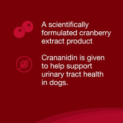 Nutramax Crananidin textura de la tableta detalle para valorar aceptación por perros