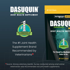 Nutramax Dasuquin masticable en mano para comparar tamaño y dosificación