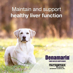 Nutramax Denamarin tabletas masticables apiladas para fácil administración