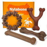 Nylabone pack frontal mostrando las cuatro formas y sabores para mayor entretenimiento