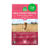 Open Farm paquete frontal de 4 lb con salmón silvestre y granos ancestrales, confianza en origen