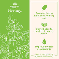 Organic India polvo de moringa en primer plano mostrando textura pura
