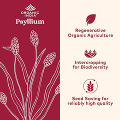 ORGANIC INDIA primer plano de la textura del polvo de psyllium para mezcla fácil