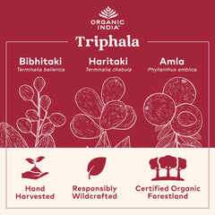 Organic India cápsulas a detalle indicando textura y calidad vegetal