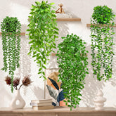 Palonu vista frontal con las cuatro plantas en macetas mostrando verdor instantáneo