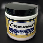 Pan-tenex envase frontal mostrando etiqueta y beneficio digestivo