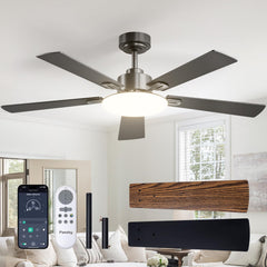 Passky vista frontal del ventilador 52" negro mejora estética y circulación