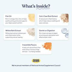 Pawfy masticable en mano para comparar tamaño y dosificación