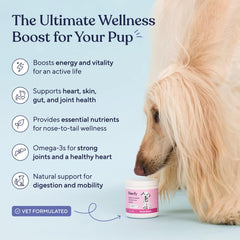 Textura del suplemento Pawfy en detalle que evidencia la calidad y mezcla
