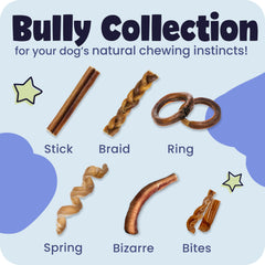 Pawstruck stick beside hand for scale demonstrating 5–8 inch size