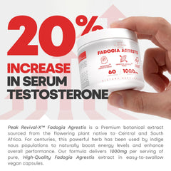 Peak Revival-X polvo o extracto en detalle mostrando pureza del ingrediente