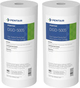 Pentek DGD-5005 frontal del cartucho mostrando tamaño y forma, protección del sistema