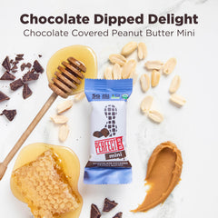 Perfect Bar mini ingredients spread overhead with seeds and honey, emphasizes whole-foods