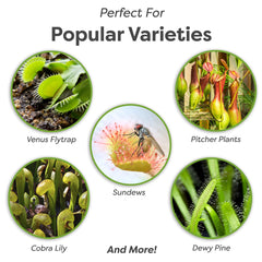 Perfect Plants detalle de ingredientes que asegura acidez adecuada para carnívoras