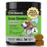 Pet Honesty bote frontal Grass Green mostrando embalaje y beneficio anti manchas