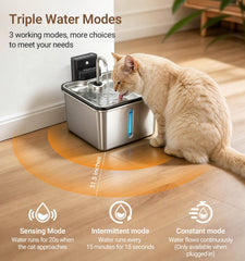 PETALPAW gentle fountain spray mode attracting cat to drink more water
