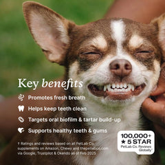 PetLab Co. textura del polvo dental que se mezcla fácilmente con comida