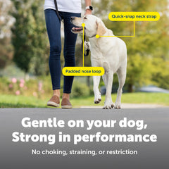 PetSafe perro usando Gentle Leader en paseo con mejor control visible