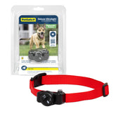 PetSafe vista frontal del receptor ultraligero con diseño compacto y fácil manejo