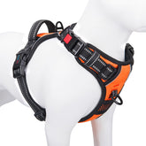 PHOEPET imagen frontal del arnés mostrando diseño y hebillas, ideal para fácil colocación