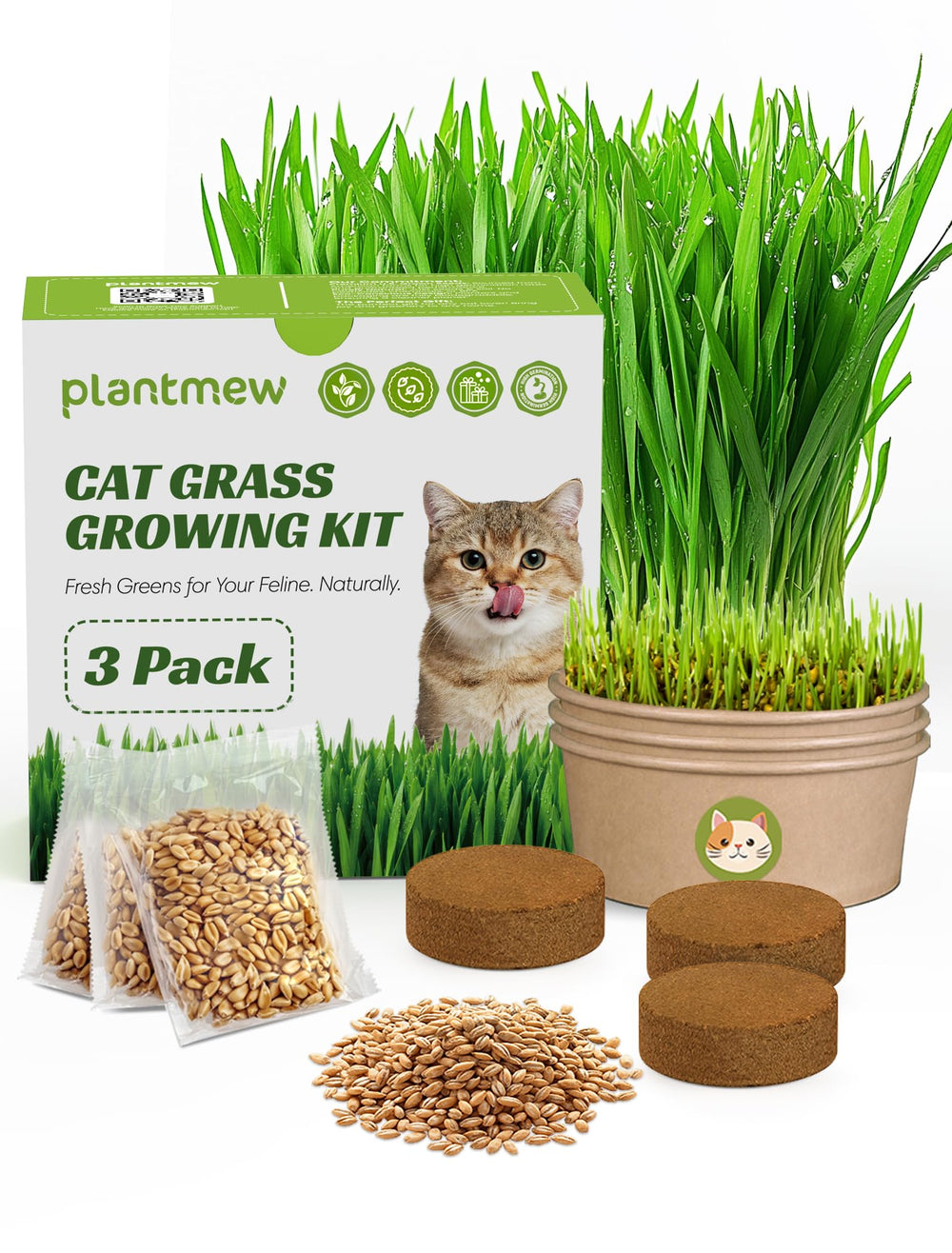 PLANTMEW paquete frontal con tres macetas biodegradables y transparencia del contenido