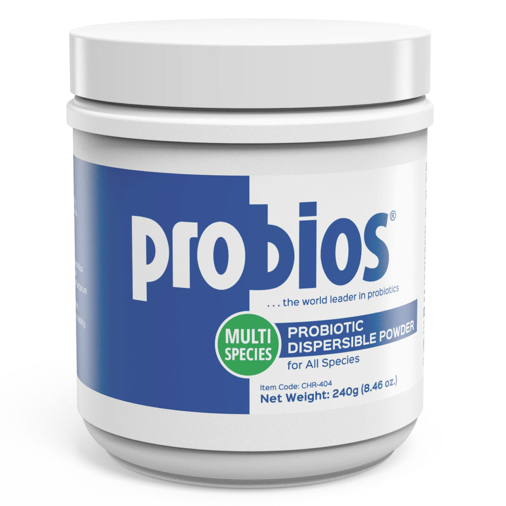 Probios envase frontal 240 g mostrando presentación clara y dosificación