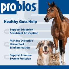 Probios en uso mezclado en alimento de perro para mejor aceptación