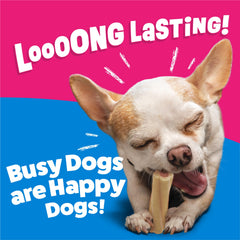 Purina Busy huesitos sobre mesa para ver tamaño real y cantidad