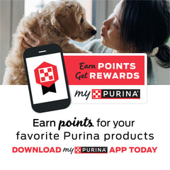Purina Moist & Meaty sobre abierto mostrando contenido blando y apetitoso