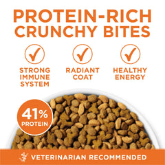 Purina ONE primer plano de croquetas crujientes que favorecen limpieza dental