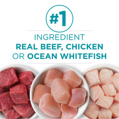 Purina ONE ingredientes reales como pollo, res y pescado visibles