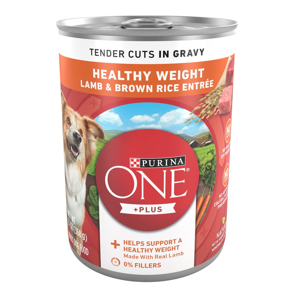 Purina ONE lata frontal mostrando el envase y beneficio nutricional