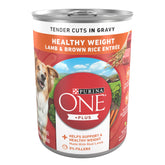 Purina ONE lata frontal mostrando el envase y beneficio nutricional