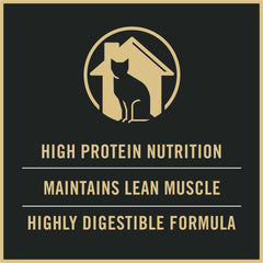 Purina Pro Plan gato comiendo en interior con energía y apetito saludable