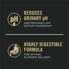 Purina Pro Plan lata abierta vista superior, contenido apetitoso listo para servir