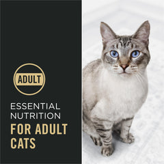 Purina Pro Plan close-up of kibble texture for palatability