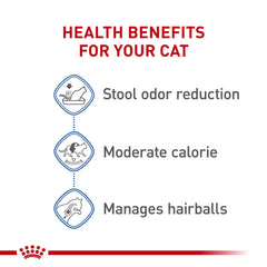 ROYAL CANIN porción servida en plato para digestión óptima y control de calorías