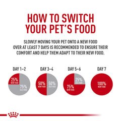 ROYAL CANIN pienso servido en plato, promueve eliminación del pelo