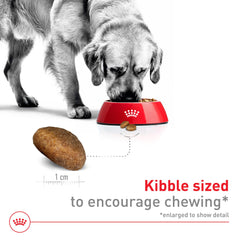 ROYAL CANIN comparación de tamaño de croqueta para raciones precisas